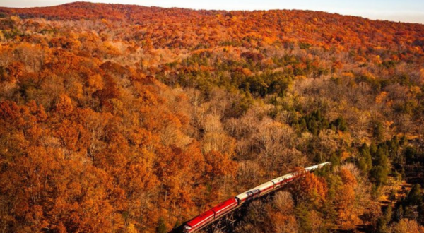 5 Ridiculously Charming Train Rides To Take Around Cincinnati This Fall