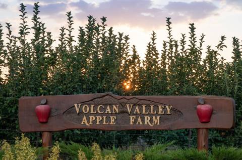 Volcan Valley Apple Farm In Southern California Is A Classic Fall Tradition
