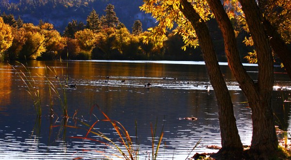 This Southern California Bike Ride Leads To The Most Stunning Fall Foliage You’ve Ever Seen