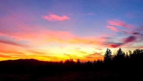 Watch The Sunrise At Powell Butte Nature Park, A Unique Extinct Volcano Park In Oregon