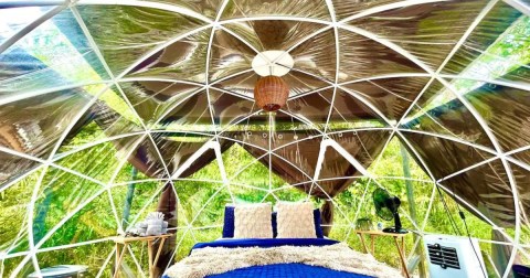 There's A Dome Airbnb In Florida Where You Can Truly Sleep Beneath The Stars