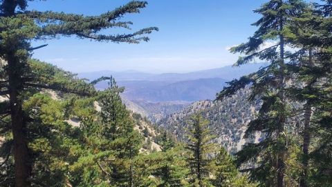 These 5 Southern California Forest Trails Will Bring Out Your Adventurous Side