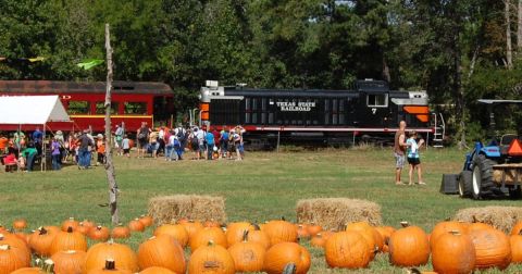 These 6 Fall-Themed Train Rides In Texas Will Have You Feeling Festive