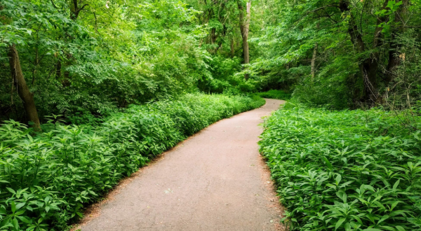Detroit’s Nearby Rouge River Gateway Trail Leads To A Magnificent Hidden Oasis