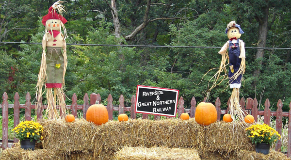 Take These Pumpkin-Themed Train Rides In Wisconsin For An Unforgettable Fall Season