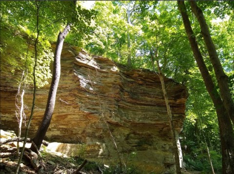 A True Hidden Gem, Rocky Hollow-Falls Canyon Nature Preserve Is Perfect For Indiana Nature Lovers