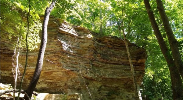 A True Hidden Gem, Rocky Hollow-Falls Canyon Nature Preserve Is Perfect For Indiana Nature Lovers