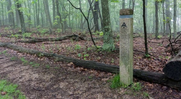 The Appalachian Trail In Virginia Was Named One Of The Scariest Haunted Hikes In The U.S.