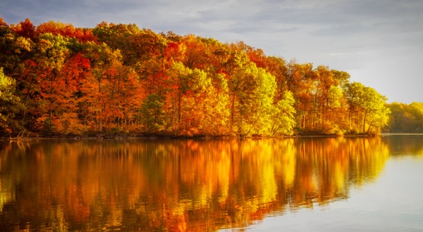 When And Where To Expect Illinois’ Fall Foliage To Peak This Year