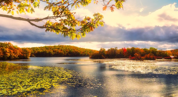 The Fall Foliage At These 5 Parks In New Jersey Never Fails To Enchant