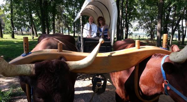 This Quaint Oxen-Powered Wagon Ride Through Illinois’ Historic Nauvoo Is A Magnificent Way To Take It All In
