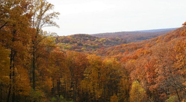 5 Overlooks In Indiana That Burst With Fall Color Every Year