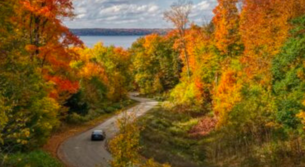 Go Apple-Picking, Then Sleep In A Cabin Surrounded By Fall Foliage On This Weekend Getaway In Michigan