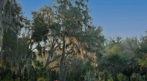The Charming Town Of Palatka, Florida Is Picture-Perfect For A Weekend Getaway