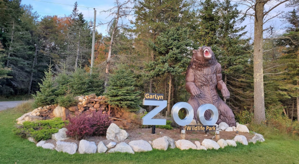 There’s A Campground Right Next To A Wildlife Park In Michigan, Making For A Fun-Filled Family Outing