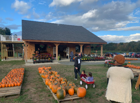 The Massachusetts Pumpkin Patch Where You Can Also Take A Hay Ride