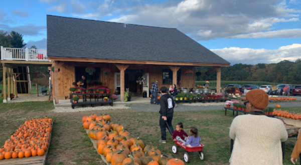 The Massachusetts Pumpkin Patch Where You Can Also Take A Hay Ride