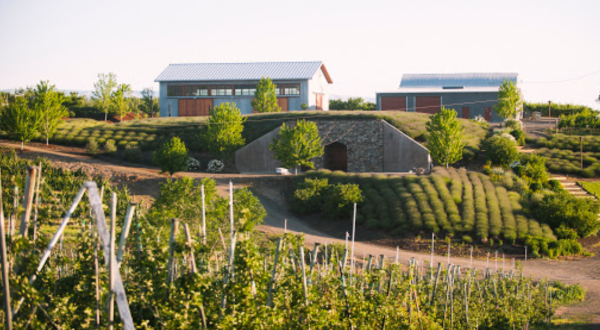 These Destination Wineries In Washington Offer So Much More Than Just Good Wine
