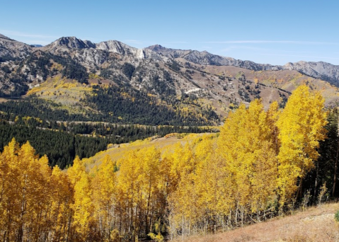 This Utah Bike Ride Leads To The Most Stunning Fall Foliage You've Ever Seen