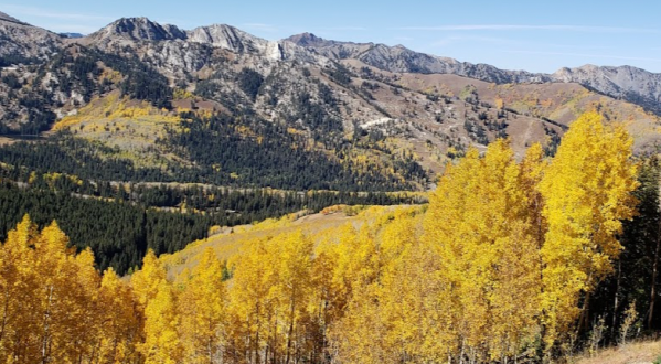 This Utah Bike Ride Leads To The Most Stunning Fall Foliage You’ve Ever Seen