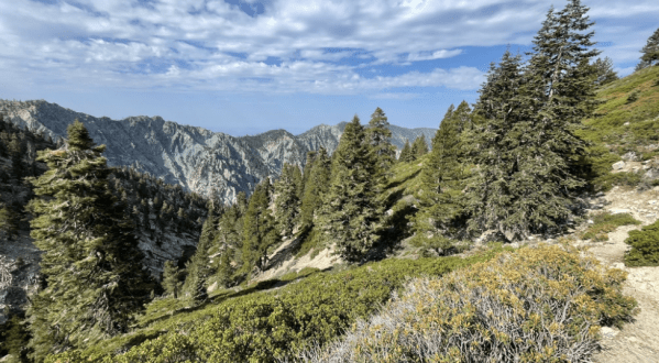 Take An Unforgettable Hike To The Top Of Southern California’s Highest Mountain
