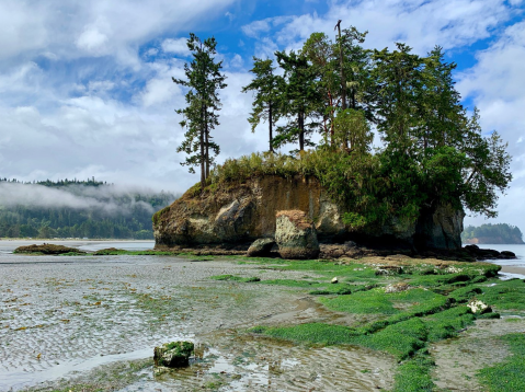 A True Hidden Gem, The 190-Acre Salt Creek Recreation Area Is Perfect For Washington Nature Lovers