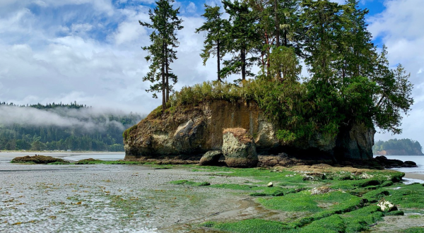 A True Hidden Gem, The 190-Acre Salt Creek Recreation Area Is Perfect For Washington Nature Lovers