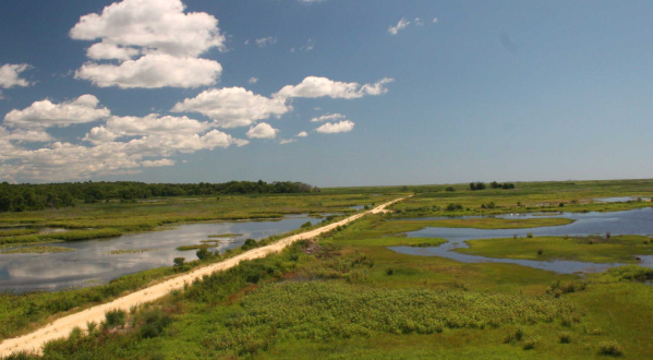 A True Hidden Gem, The 48,000-Acre Edwin B. Forsythe National Wildlife Refuge Is Perfect For New Jersey Nature Lovers