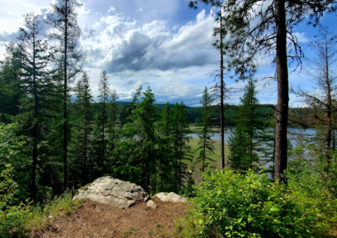 A True Hidden Gem, This Nature Preserve Is Perfect For Idaho Nature Lovers