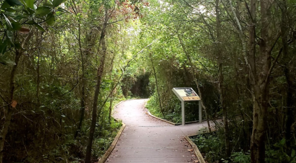 There’s A Little-Known Nature Preserve Just Waiting For Florida Explorers