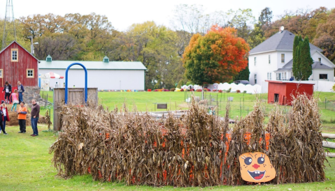 If There's One Fall Festival You Attend In Minnesota, Make It The Nelson Farm Pumpkin Patch Festival