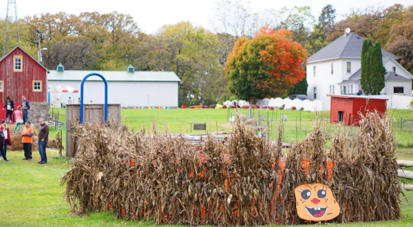 If There’s One Fall Festival You Attend In Minnesota, Make It The Nelson Farm Pumpkin Patch Festival