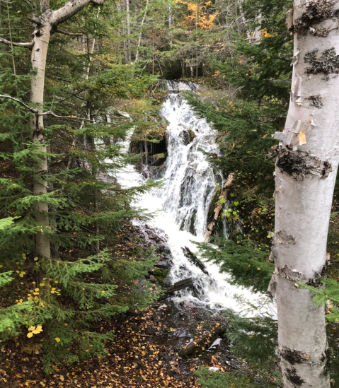 There's A Michigan Trail That Leads To A Waterfall The Entire Family Will Love
