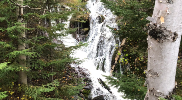 There’s A Michigan Trail That Leads To A Waterfall The Entire Family Will Love