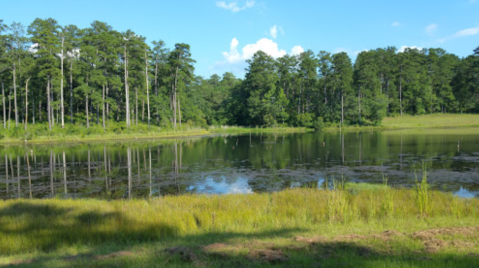 You Haven't Lived Until You've Experienced This One Incredible Preserve In Georgia