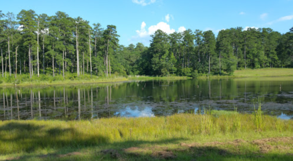 You Haven’t Lived Until You’ve Experienced This One Incredible Preserve In Georgia