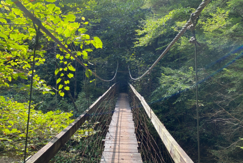 The Exhilarating Suspension Bridge Hike In Kentucky That Everyone Must Experience At Least Once