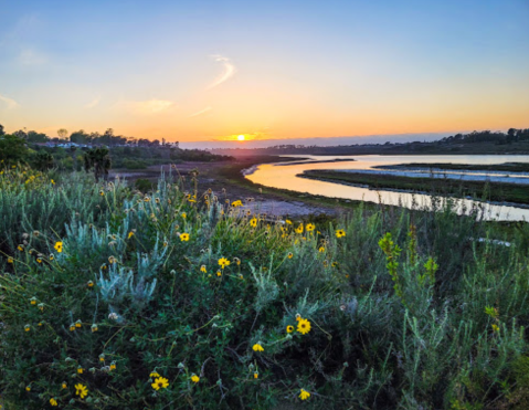 There's A Little-Known Nature Preserve Just Waiting For Southern California Explorers