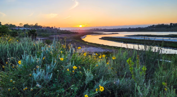 There’s A Little-Known Nature Preserve Just Waiting For Southern California Explorers
