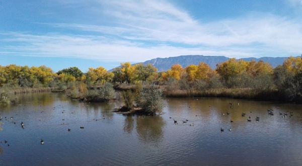 Tiny But Mighty, One Of The Smallest State Parks In New Mexico Is A Hidden Gem Worth Exploring