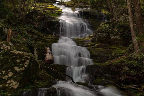 If There Are Only 5 Waterfall Hikes You Take In New Jersey, Make Them These