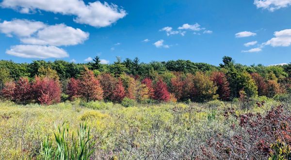 Don’t Let These Stunning Views Fool You, Hofma Preserve Loop In Michigan Is Actually An Easy Hike
