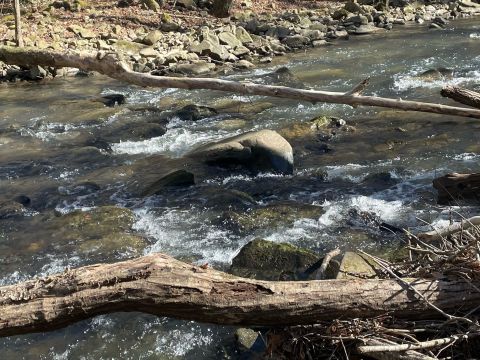 There's An Alabama Trail That Leads To A Babbling Brook The Entire Family Will Love