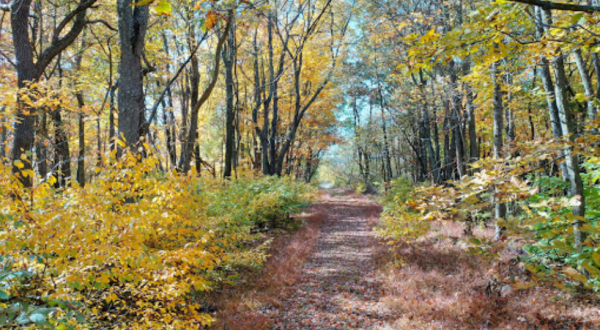 A True Hidden Gem, The 350-Acre Eidolon Preserve Is Perfect For West Virginia Nature Lovers