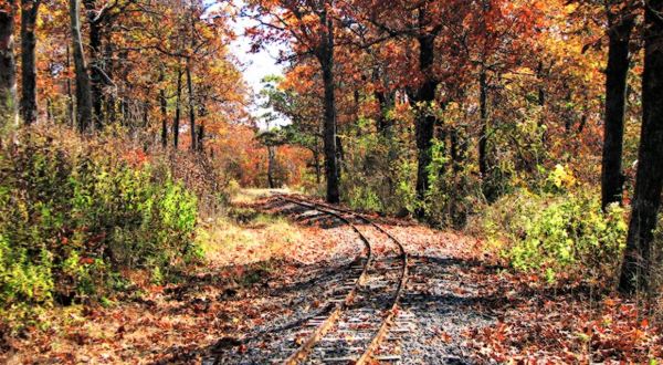 Take A Ride Through Arkansas’ Fall Foliage On The Rich Mountain Miniature Train