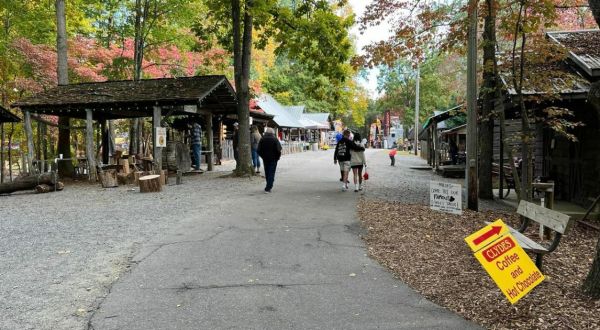 If There’s One Fall Festival You Attend In Georgia, Make It The Georgia Mountain Fall Festival