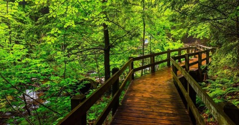 Tiny But Mighty, The Smallest State Park In Michigan Is A Hidden Gem Worth Exploring
