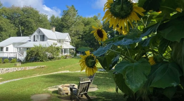 This Apple Orchard VRBO In North Carolina Is One Of The Coolest Places To Spend The Night