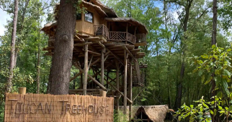 Escape To A Jungle Garden Treehouse Without Ever Leaving Arkansas