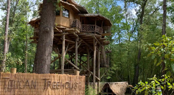 Escape To A Jungle Garden Treehouse Without Ever Leaving Arkansas